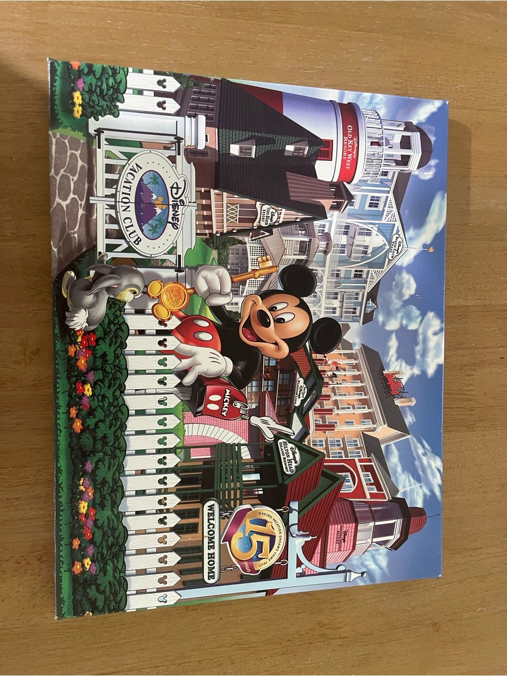 Disney Mickey Mouse Resort 15th Anniversary Artwork - Blue, Red, Green